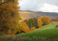Herbst in der Eifel 1