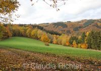 Herbst in der Eifel 3