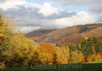 Herbst in der Eifel 2