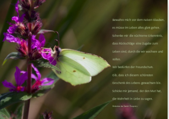 Claudia Richter, Doppelkarte Schmetterling Exuperie, Gebet